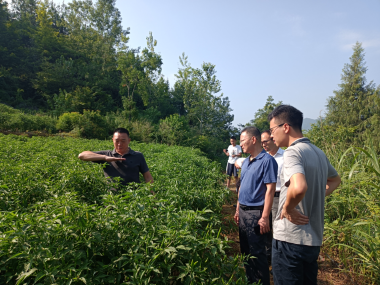 �������ǲ���(�й���)�ٷ���վ