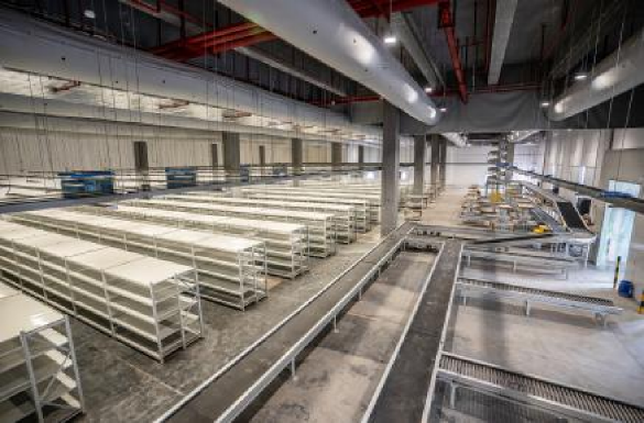 �������ǲ���(�й���)�ٷ���վ